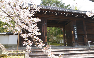知恩院