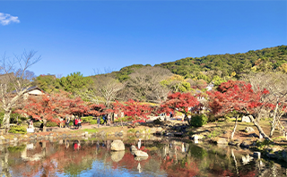 円山公園